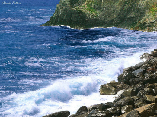 40551 (a): :1600x1200
